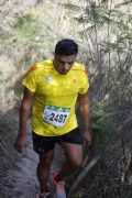 G1383144