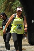 V1387664