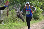 E1393504