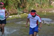 Q1393358