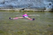 D1390511