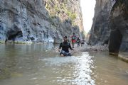 Q1391258