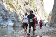 Z1389528