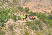 H1389034