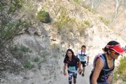 Q1389432