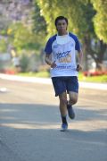 F1380613