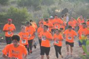 A1399527