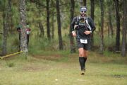 U1411568