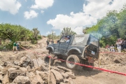 Y1398095