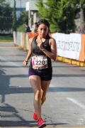 Q1409911