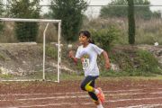 T1413801