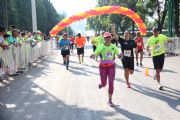 H1463142