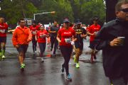 L1421499