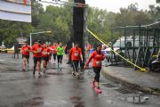 P1422911