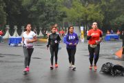 Y1423187