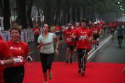 N1426492
