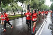 T1434538