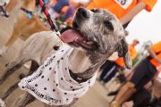 X1452798