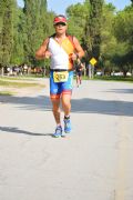 Q1455513