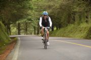 S1478255