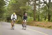 T1478537
