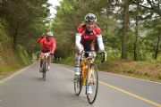 W1477857