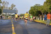 J1498811