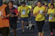 U1503339