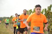 I1513781