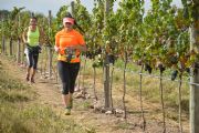 L1512864