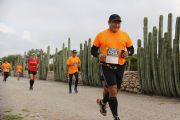 I1516580