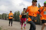 Viñedos- Bernal 27k y 17k