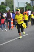 N1520380