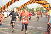 O1523866