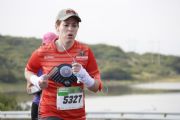 V1528413