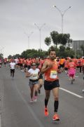 G1523431