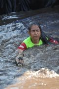 A1529287