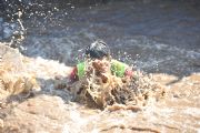 F1529487