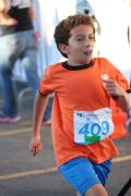 D1536685