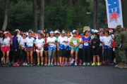 B1535394