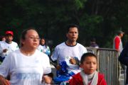 P1535791