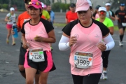 B1561616