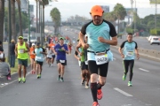 E1562881