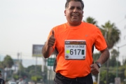 H1562447
