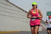 Q1561833