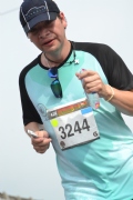 W1562544