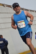 W1562727