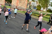 L1565768