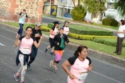 P1564585