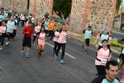 V1564370
